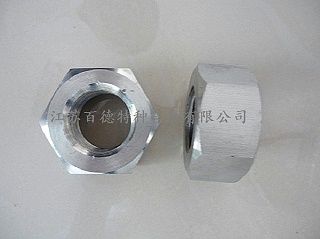 英科洛伊Incoloy926螺母